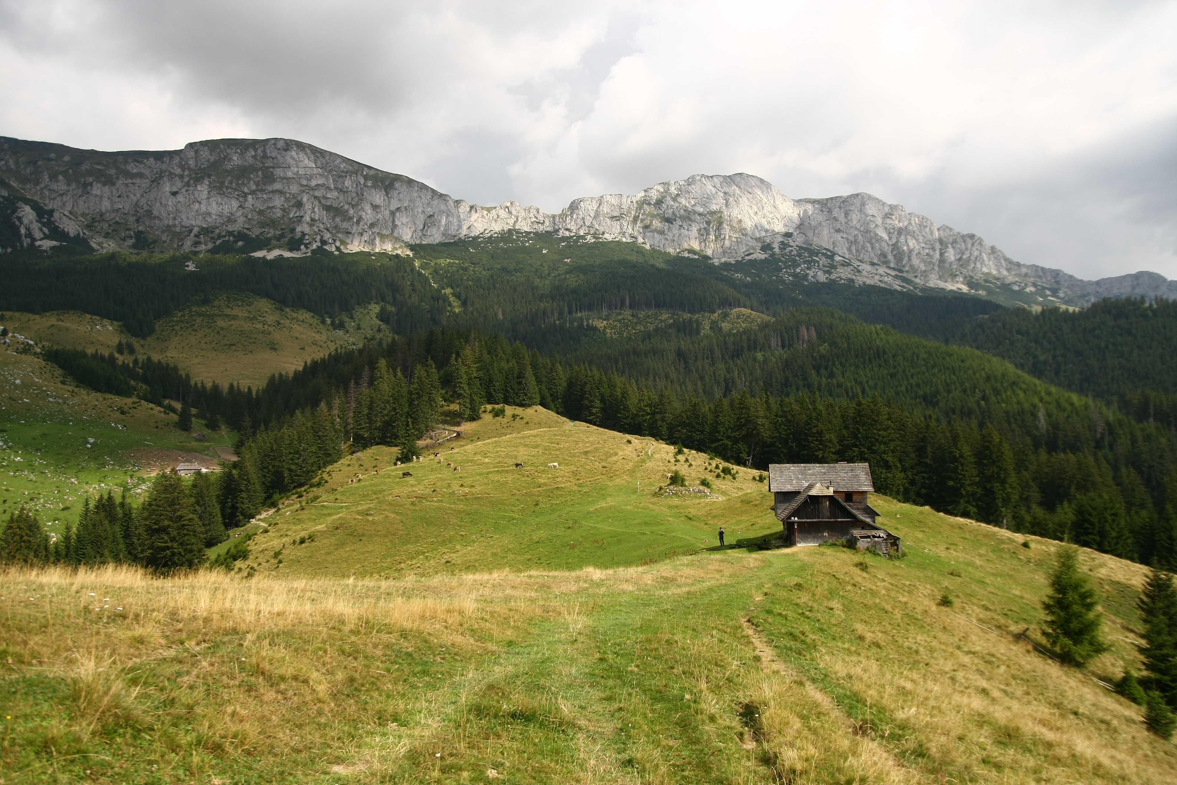 Exciting tracks in Transylvanian mountains